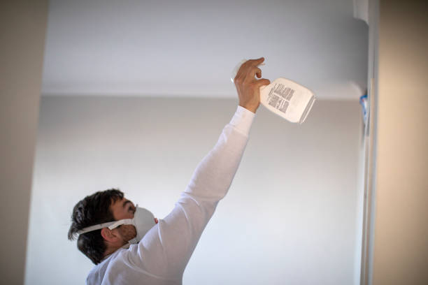Best Kitchen Mold Remediation in Wentworth, NC