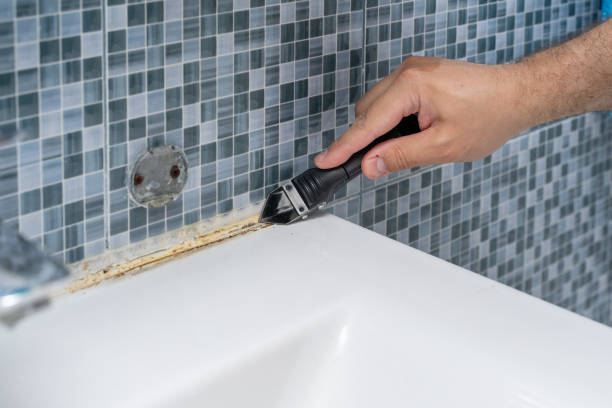 Best Insurance-Related Mold Remediation in Wentworth, NC