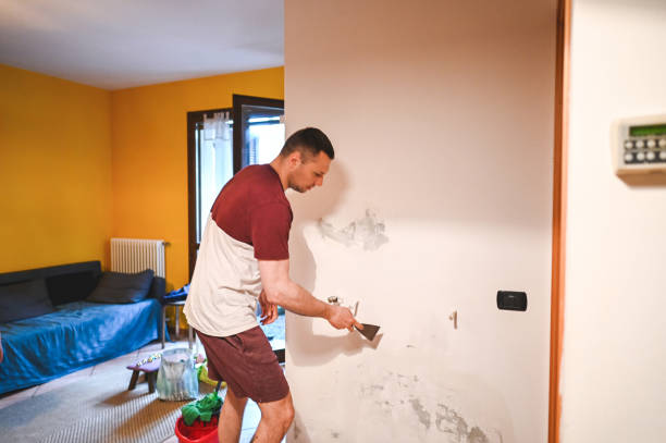 Best DIY Mold Remediation Support Services in Wentworth, NC